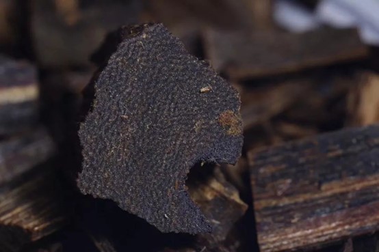 图片2.jpg 图片2.jpg