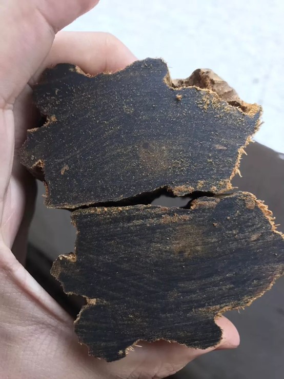 图片3.jpg 图片3.jpg